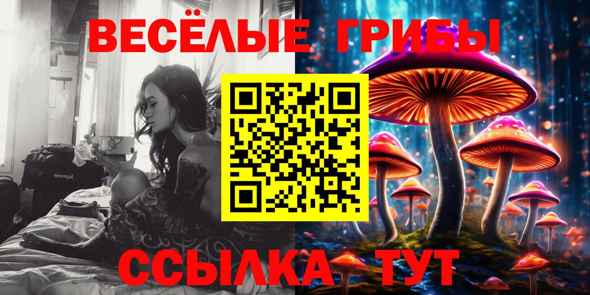 Псилоцибиновые грибы прущие грибы  Вход с VPN  Хасавюрт 