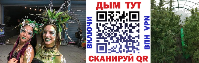 Конопля OG Kush  Хасавюрт 